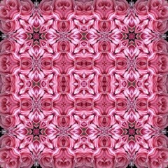 Kaleidoscopic array of pink roses creates a symmetrical floral design seamless pattern