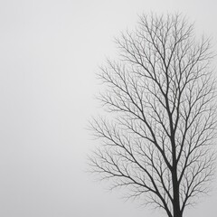 Obraz premium Bare Branches: Pale Overcast Sky in Artistic Detail