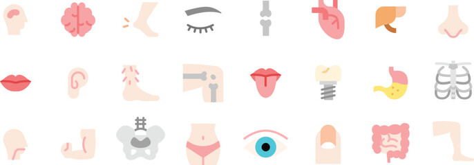 Human Body Parts and Anatomy Icons