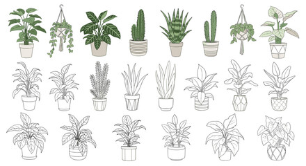Illustration of Potted Plants Collection: Variety of Indoor Greenery for Home Decor