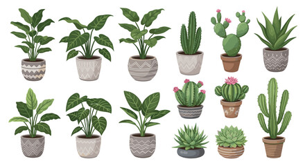 Assorted Potted Plants A Collection of Home Decor Indoor Gardening Elements