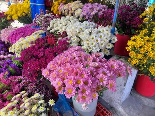 colorful chrysanthemum bouquet flowers
