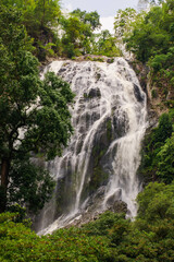 Go on a trip with nature