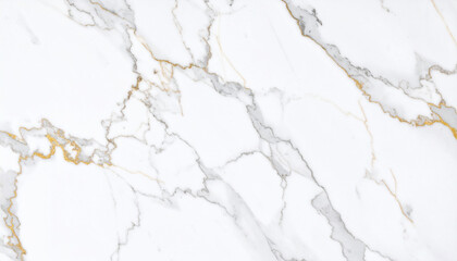 Obraz premium snow covered branches