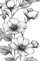 Elegant black and white floral sketch with blooming flowers and leaves in hand drawn vintage botanical illustration