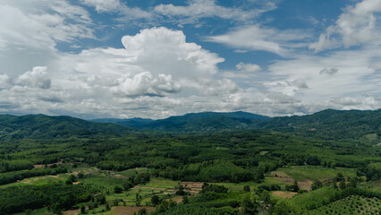 Fototapeta premium Go on a trip with nature