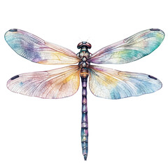Dragonfly Close Up, watercolor painting vector, isolated on a white background.