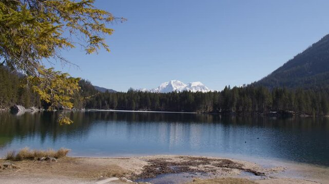 Hintersee Lake With Dense Conifer Trees In Germany. Wide Shot