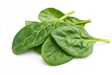 Fototapeta premium fresh spinach leaves