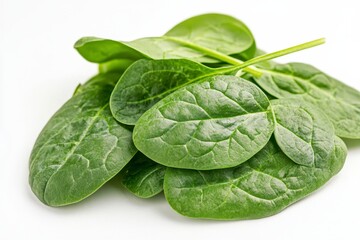 Obraz premium fresh spinach leaves
