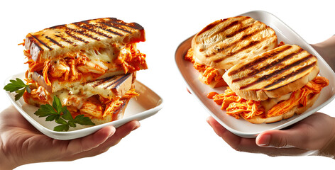 Hand holding Grilled BBQ Chicken panini sandwich on crusty bread isolated on white background