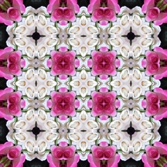 Seamless kaleidoscope floral pattern a symmetrical dance of pink and white roses creates an intricate, repeating floral design for fabric, wallpaper, and backgrounds