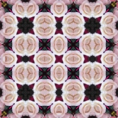 Seamless kaleidoscope floral pattern symmetrical arrangement of pale roses with dark accents, creating a mesmerizing and romantic design for fabric, wallpaper, and backgrounds