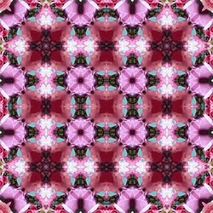 Seamless kaleidoscope floral pattern symmetrical arrangement of pink and white roses with teal accents, creating a visually appealing and intricate design for fabric, wallpaper, and backgrounds