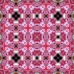 Seamless kaleidoscope floral pattern symmetrical arrangement of pink roses with dark accents, creating a mesmerizing and romantic design for fabric, wallpaper, and backgrounds