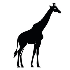 Obraz premium Black Silhouette Of Giraffe Standing In Profile With Elegant Minimal Lines For Animal And Wildlife Design