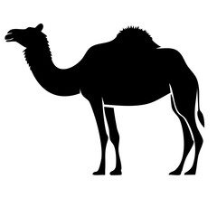 Black Silhouette Of Camel Standing