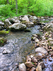 Baxters Hollow State Natural Area in Wisconsin