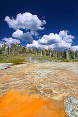 Bright colors of the thermal features near Grand Geyser of Yellowstone National Park
