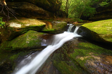 Lower Caney Creek Falls in the Bankhead National Forest of Alabama