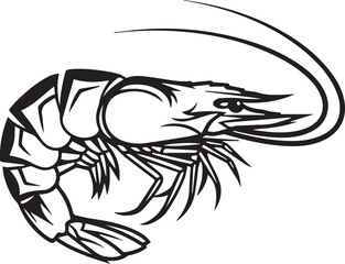 shrimp or prawn vector illustration
