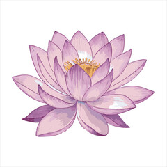 Lotus flower Vector 