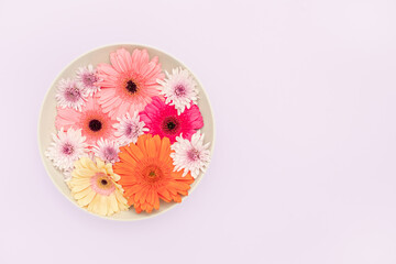 Top-down view of a vibrant floral composition with orange, pink, white, and magenta flowers, including mums and gerberas, arranged in a light beige ceramic plate with a space for text lilac background