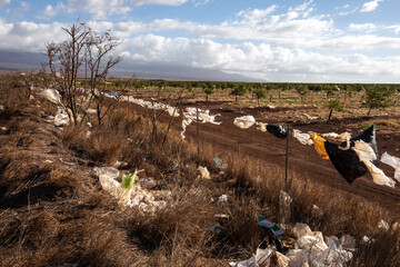 Plastic bags and debris scattered across a dry, grassy field and tangled on a fence near farmland. The image depicts the environmental impact of plastic pollution raising awareness of waste management