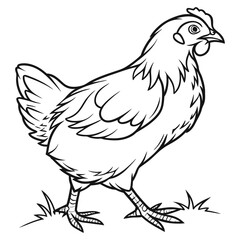 Abstract Chicken Sketch in Vector Line Art Style