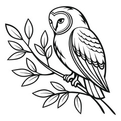 black and white owl minimal vector line art drawing