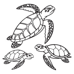 simple black and white turtles minimal vector drawing