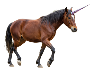 神秘的な光彩を放つ、歩くユニコーン。幻想的な色彩と構図