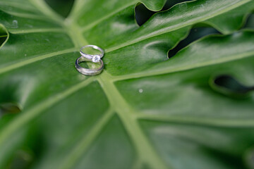 Engagement ring on a leaf