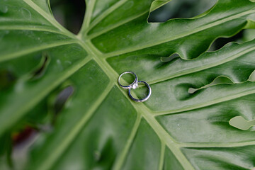 Engagement rings on a leaf