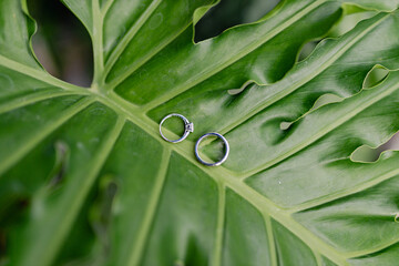 Couples engagement ring on a leaf