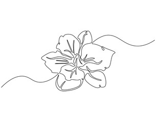 Butterfly continuous line art. Butterfly one line drawing. Flying animal concept vector illustration