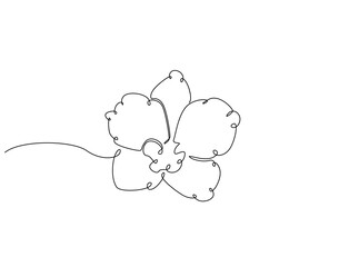 Butterfly continuous line art. Butterfly one line drawing. Flying animal concept vector illustration