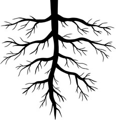 Plant Root Silhouette Illustration