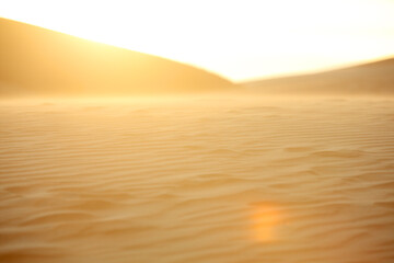 Soft Golden Light on Sandy Desert Landscape at Dusk