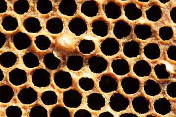 Honeycomb Structure with Hexagonal Cells Close Up Detail