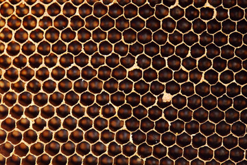 Close-Up of Honeycomb Structure with Natural Hexagonal Cells