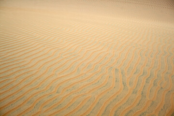 Serene Desert Landscape with Intricate Sand Dune Patterns