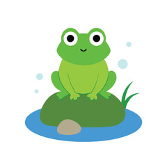 Fototapeta premium green frog on white background