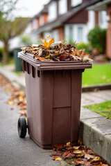 Garden waste in a brown wheeled bin