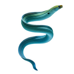 Fototapeta premium Stunning Blue Eel: Aquatic Life Close-Up
