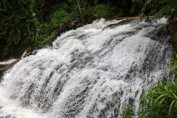Rushing Waterfall Cascades Down Amidst a Lush Green Forest Landscape.