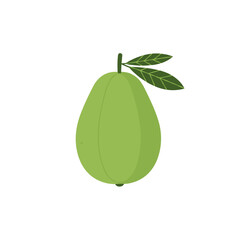 Stylized illustration of a green fruit with two leaves, isolated on a white background