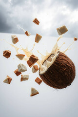 Nature’s Splash – The Coconut Way