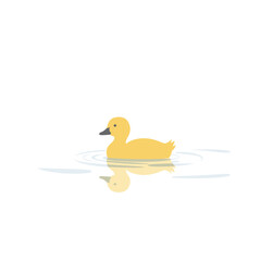 Simple illustration of a small yellow duck swimming in light gray water, against a white background