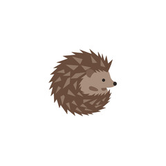 Stylized cartoon hedgehog with brown quills and small, dark eyes isolated on a white backdrop
